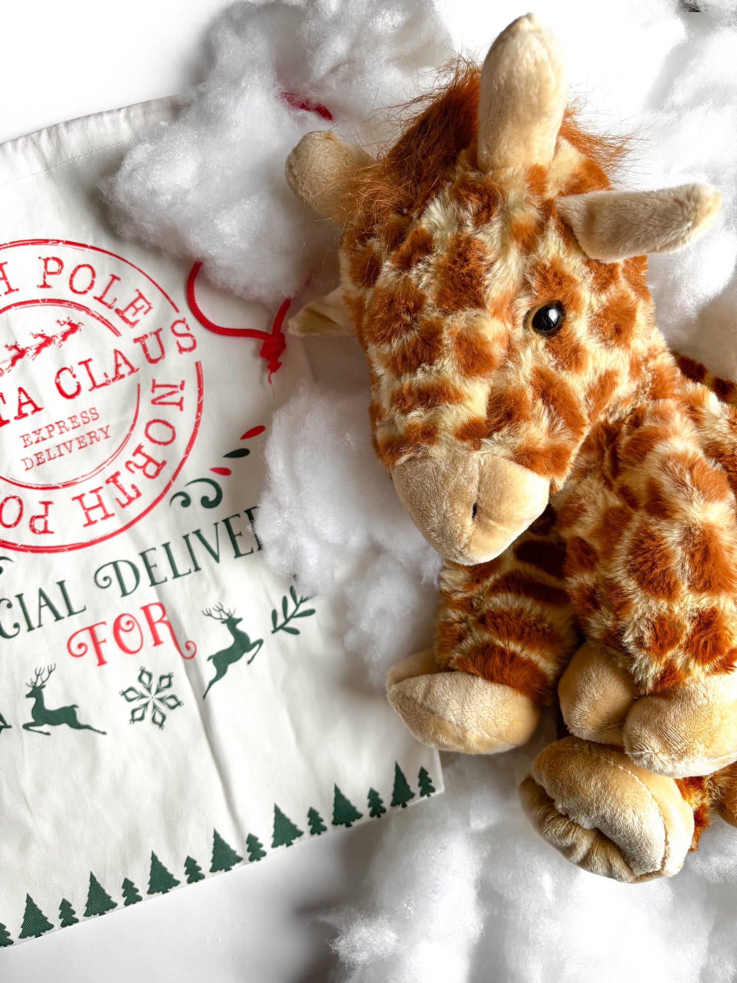 North Pole Express Sack