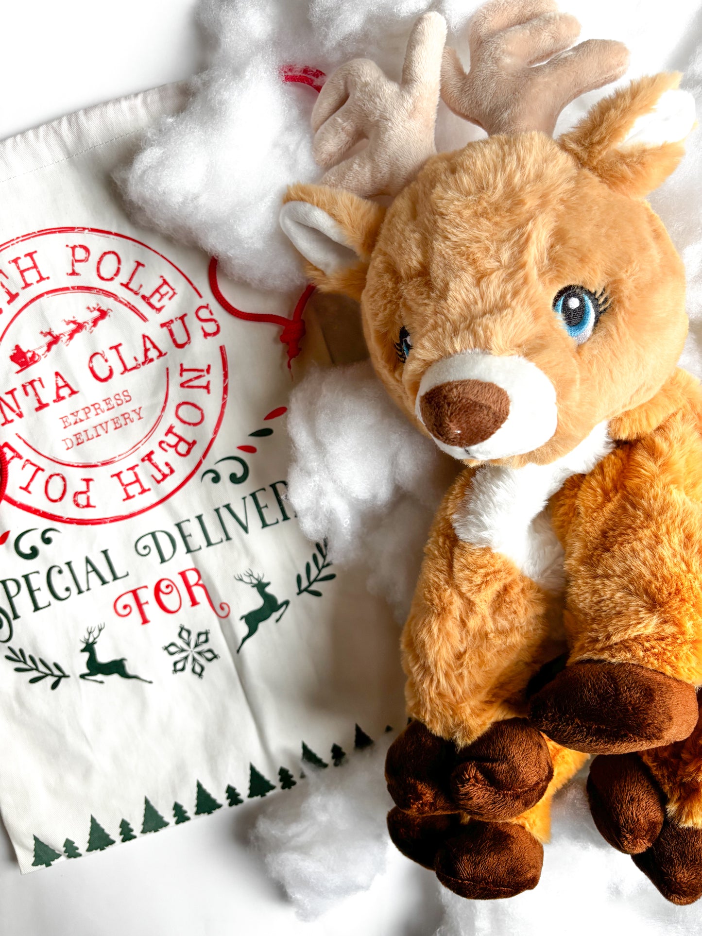 North Pole Express Sack